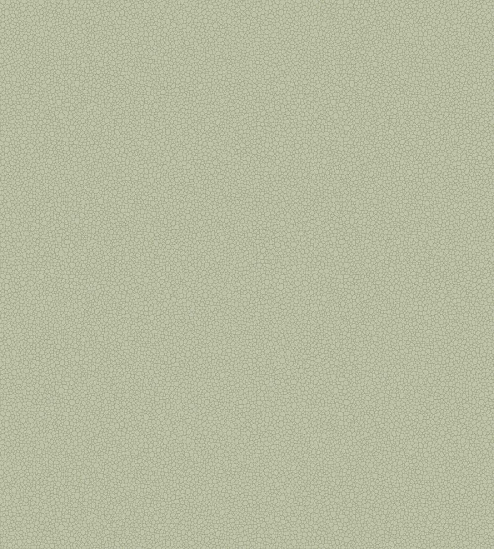 Pebble Wallpaper by Cole & Son 2027