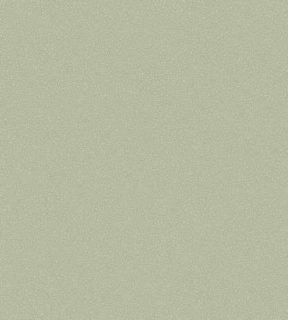 Pebble Wallpaper by Cole & Son 2027