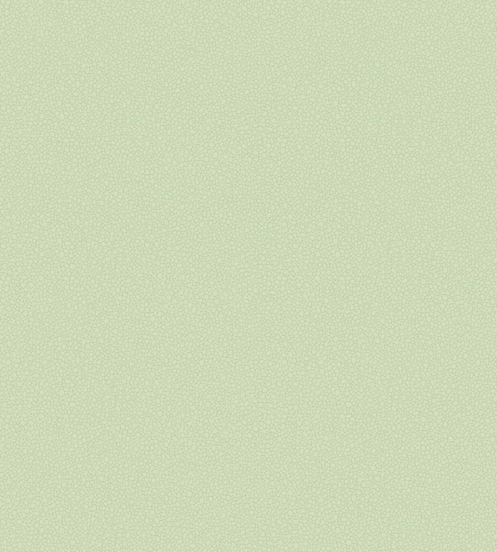 Pebble Wallpaper by Cole & Son 2028