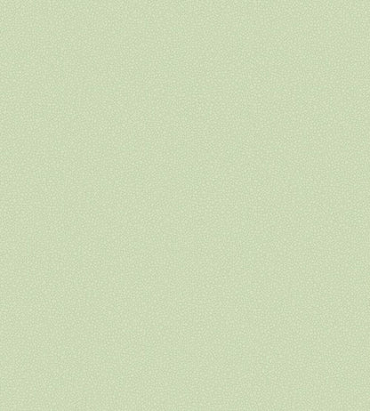 Pebble Wallpaper by Cole & Son 2028