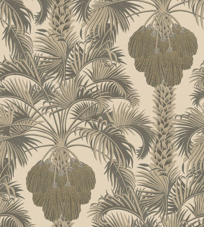 Hollywood Palm Wallpaper by Cole & Son Silver/Charcoal