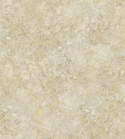 Patina Haze Wallpaper by Cole & Son Soft Gold