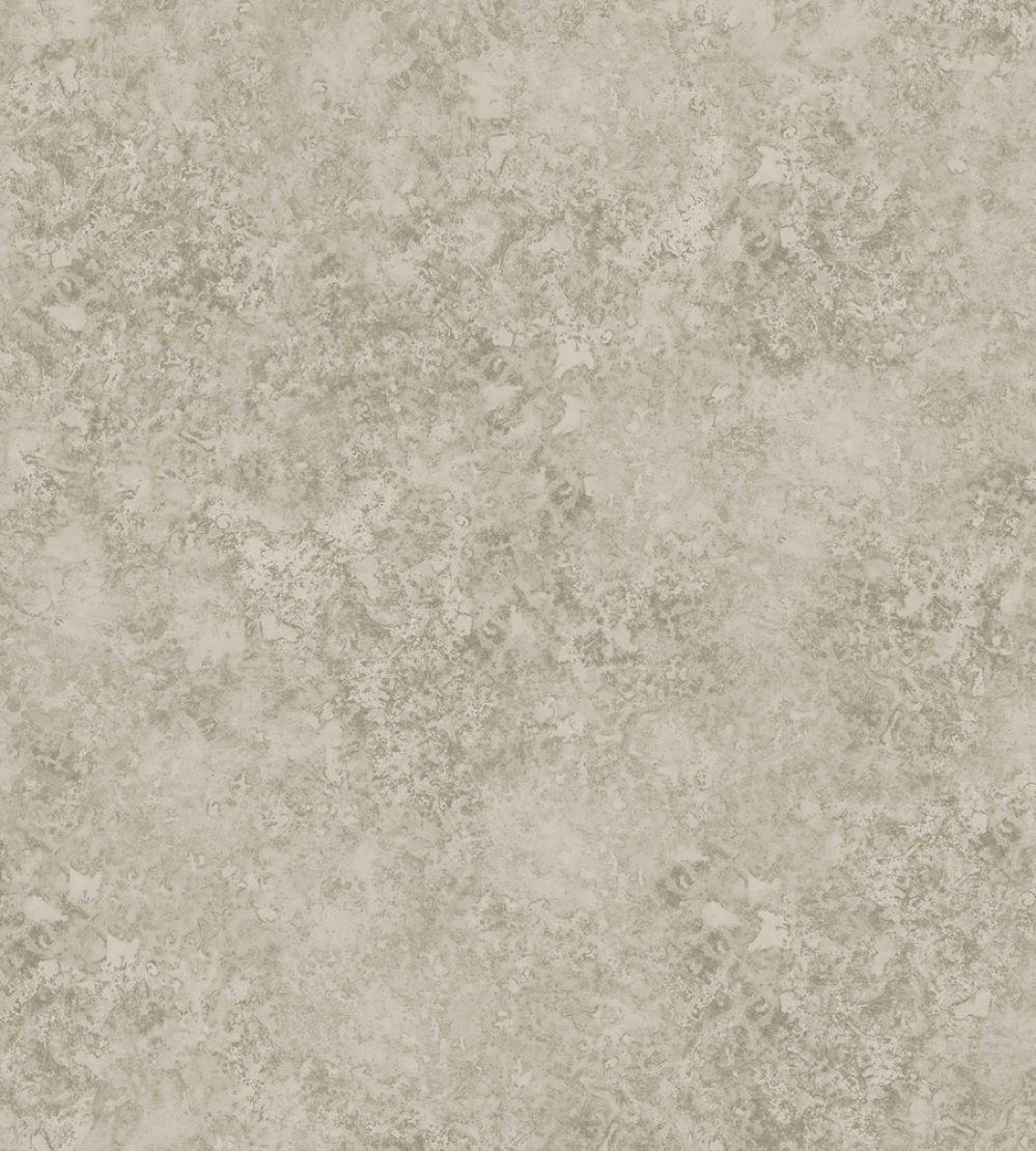 Patina Haze Wallpaper by Cole & Son Warm Gilver