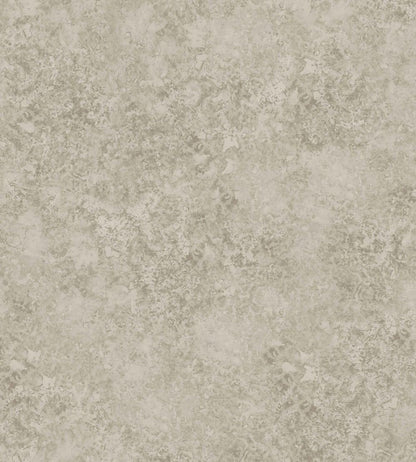 Patina Haze Wallpaper by Cole & Son Warm Gilver