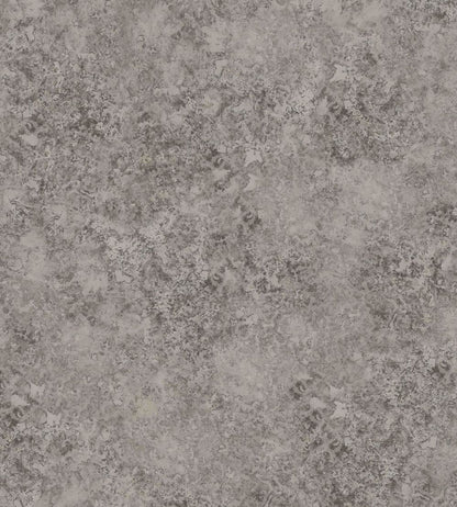 Patina Haze Wallpaper by Cole & Son Taupe