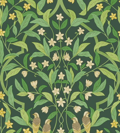 Jasmine And Serin Symphony Wallpaper by Cole & Son 10029