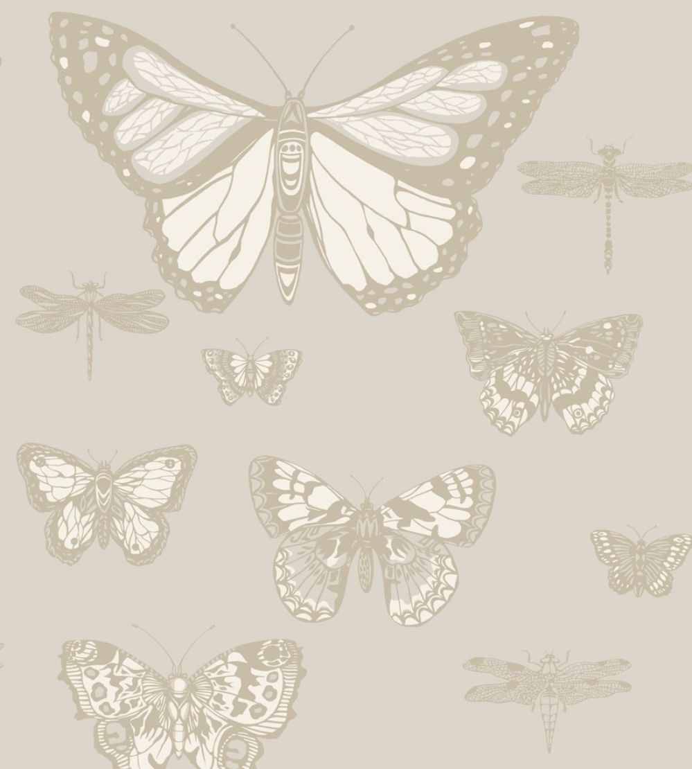 Butterflies & Dragonflies Wallpaper by Cole & Son Grey