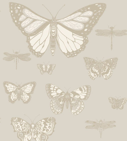 Butterflies & Dragonflies Wallpaper by Cole & Son Grey