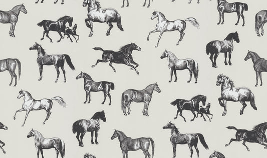 Colette Graphite mural by Sandberg