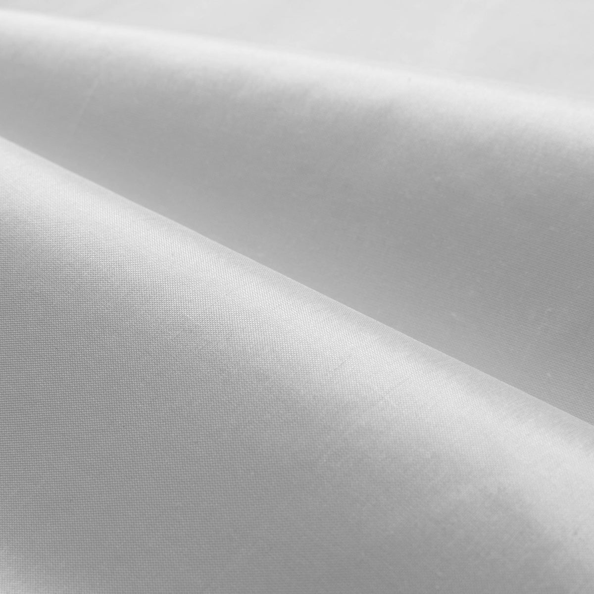 Coraggio Silk Fabric by Coraggio in Silver (D50003)