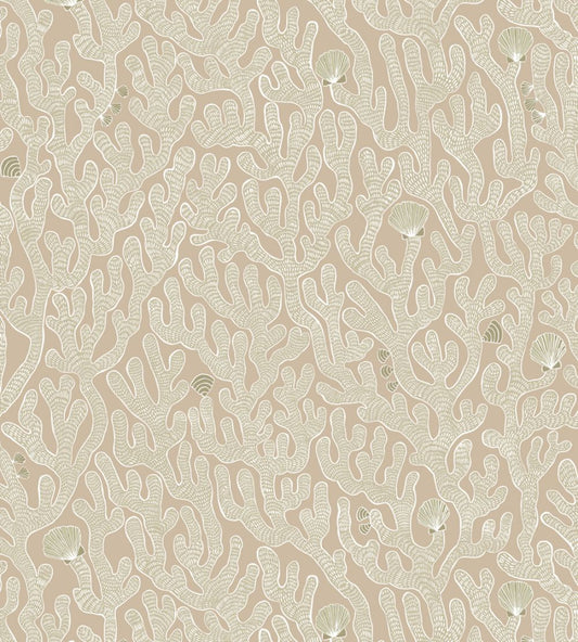 Coral Wallpaper by Josephine Munsey Edge Sand