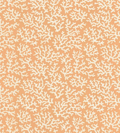 Coral Wallpaper by Langelid Von Bromssen Peach