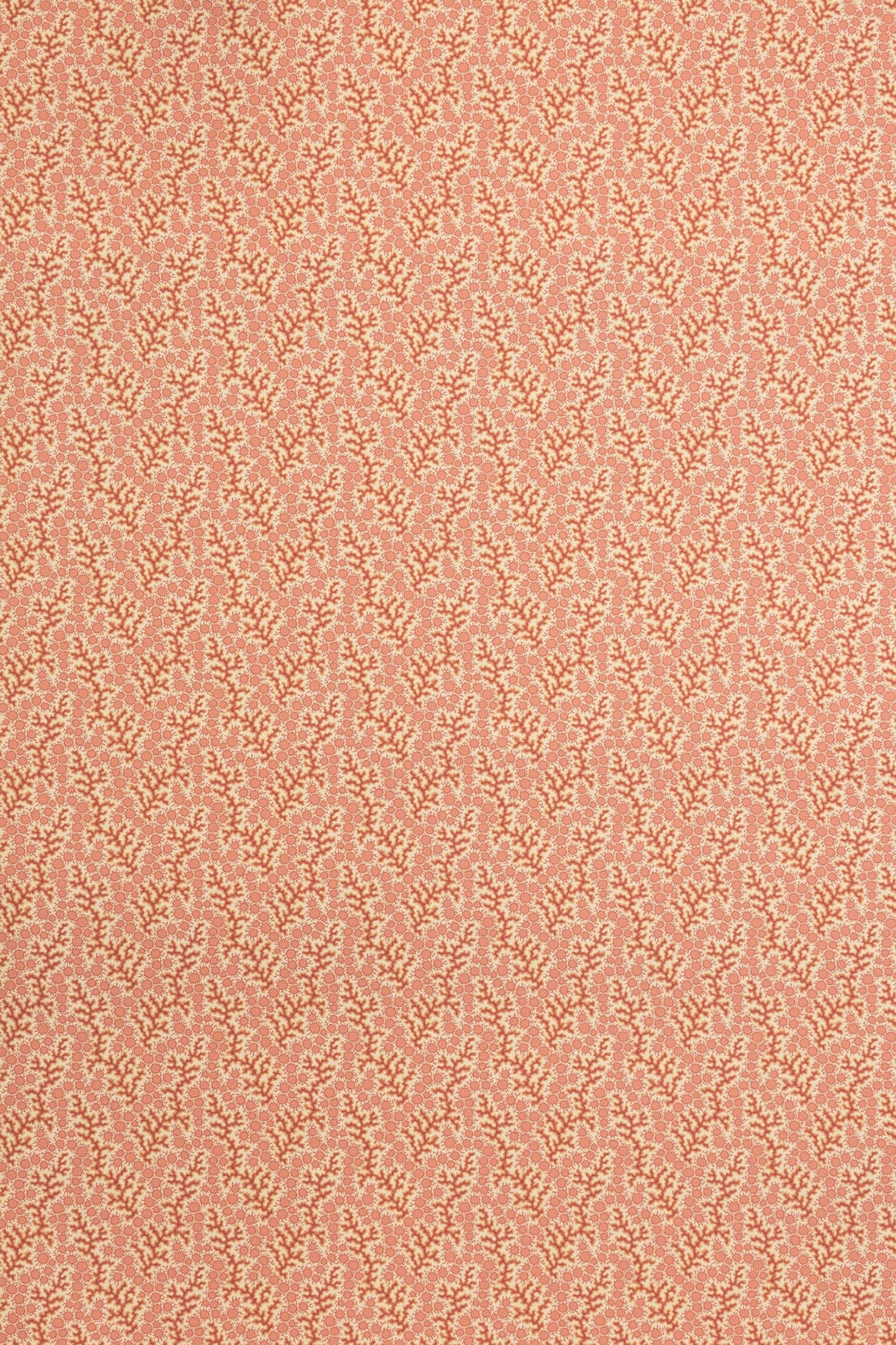 Coralie Wallpaper by Jean Monro in Crustacean