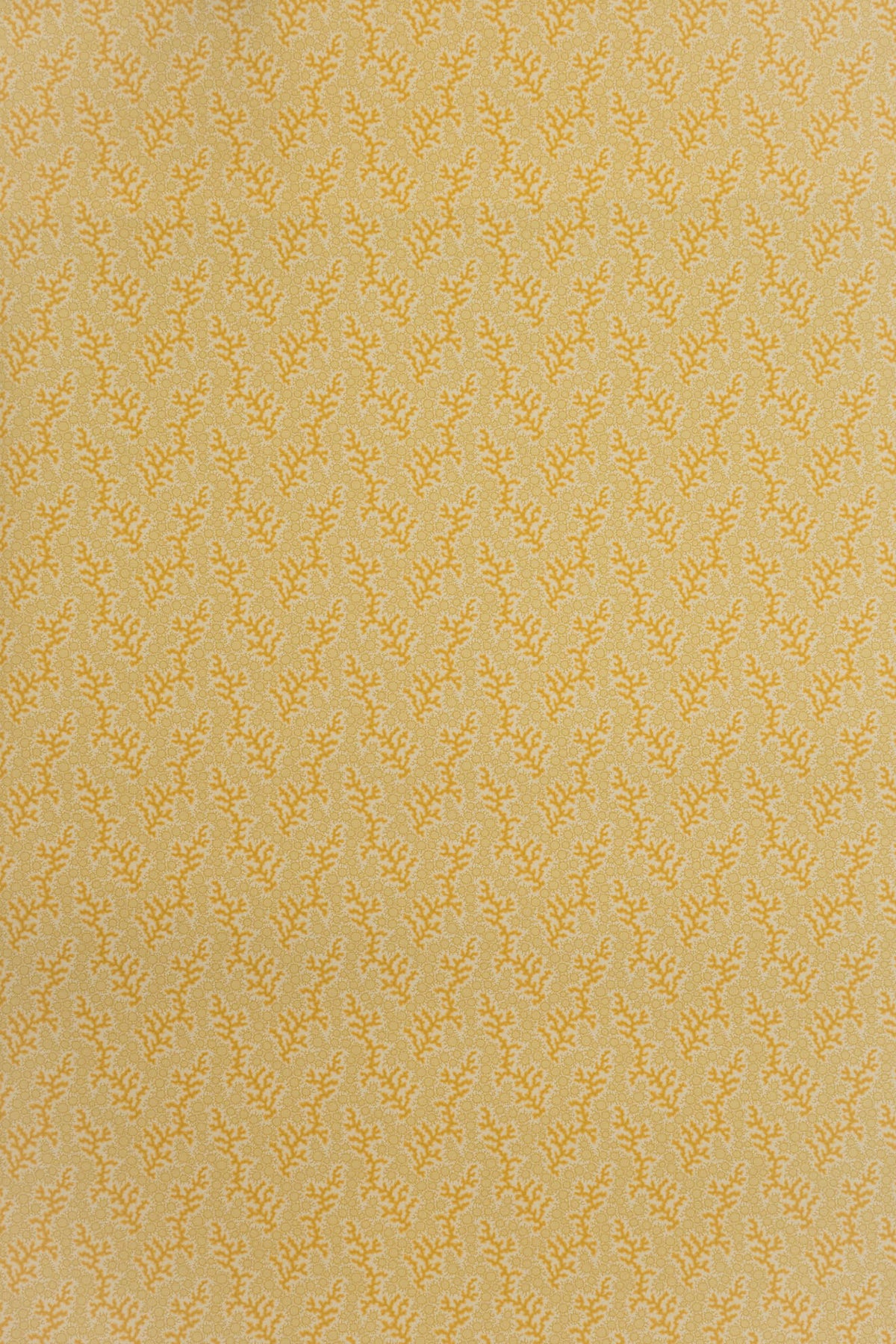 Coralie Wallpaper by Jean Monro in Dijon