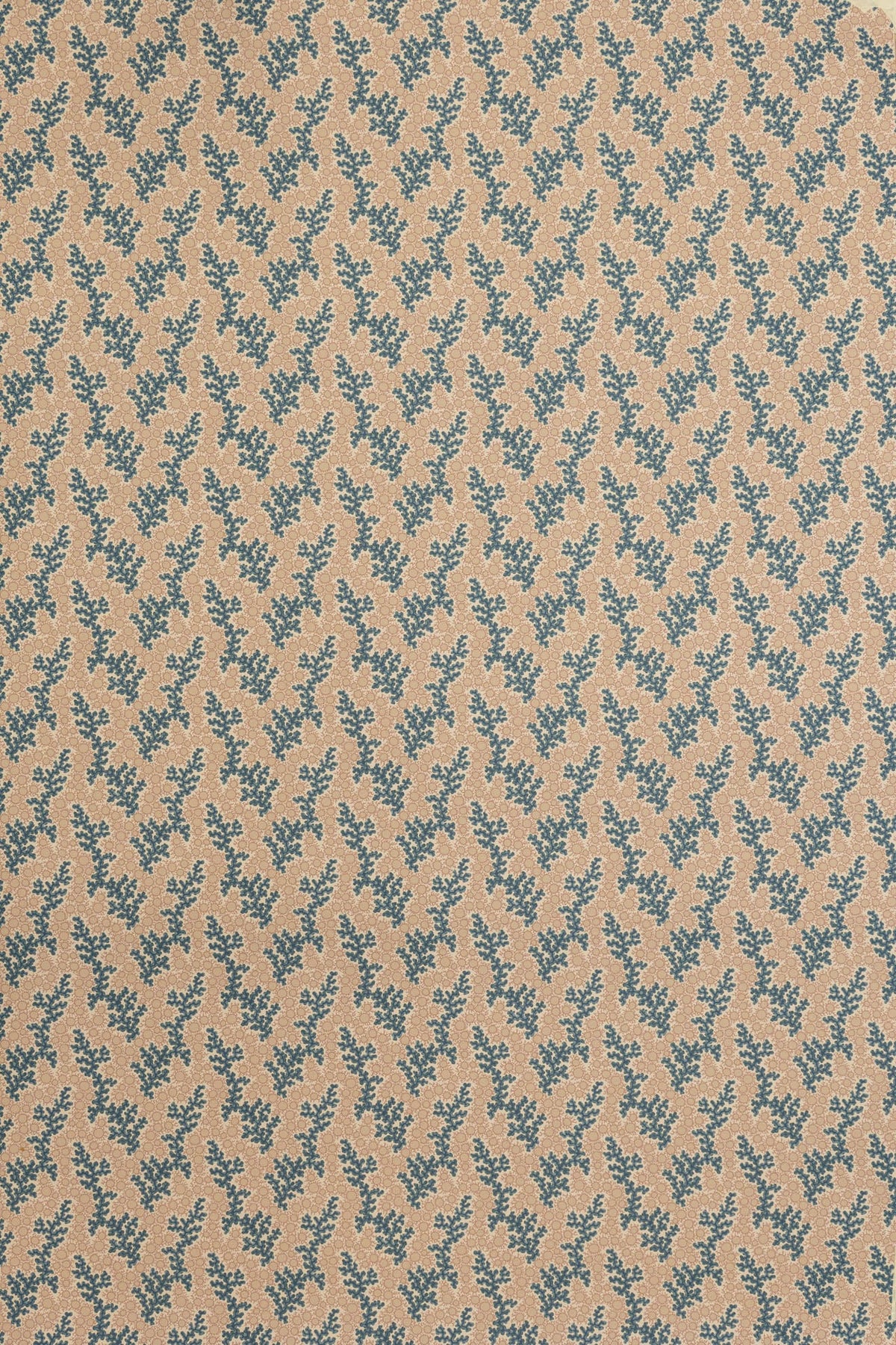 Coralie Wallpaper by Jean Monro in Sea