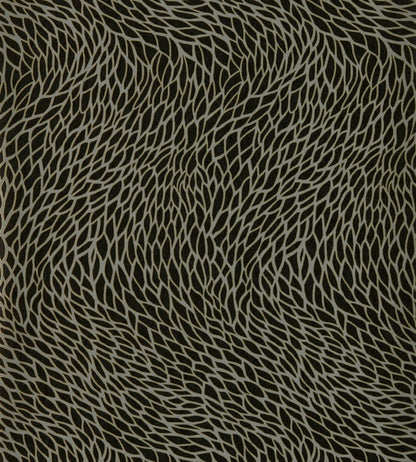 Corallino Wallpaper by Clarke & Clarke Noir