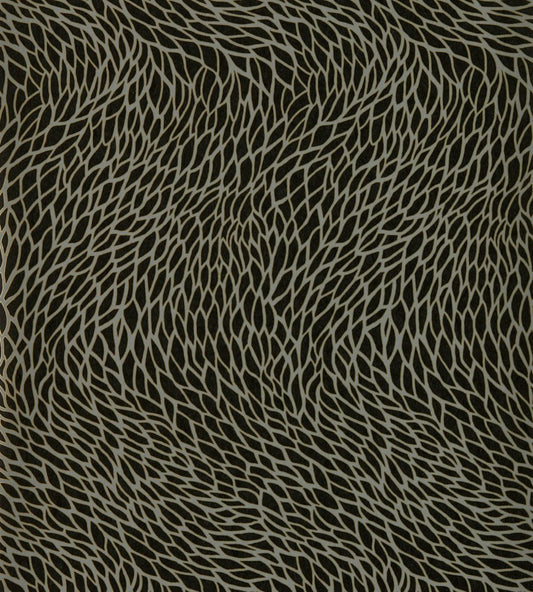 Corallino Wallpaper by Clarke & Clarke Noir