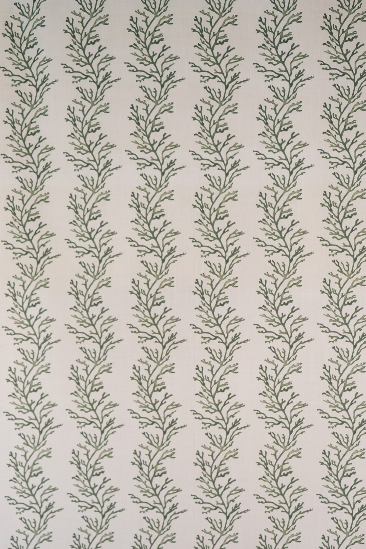 Corallo OUT Fabric by James Malone in Green (01)