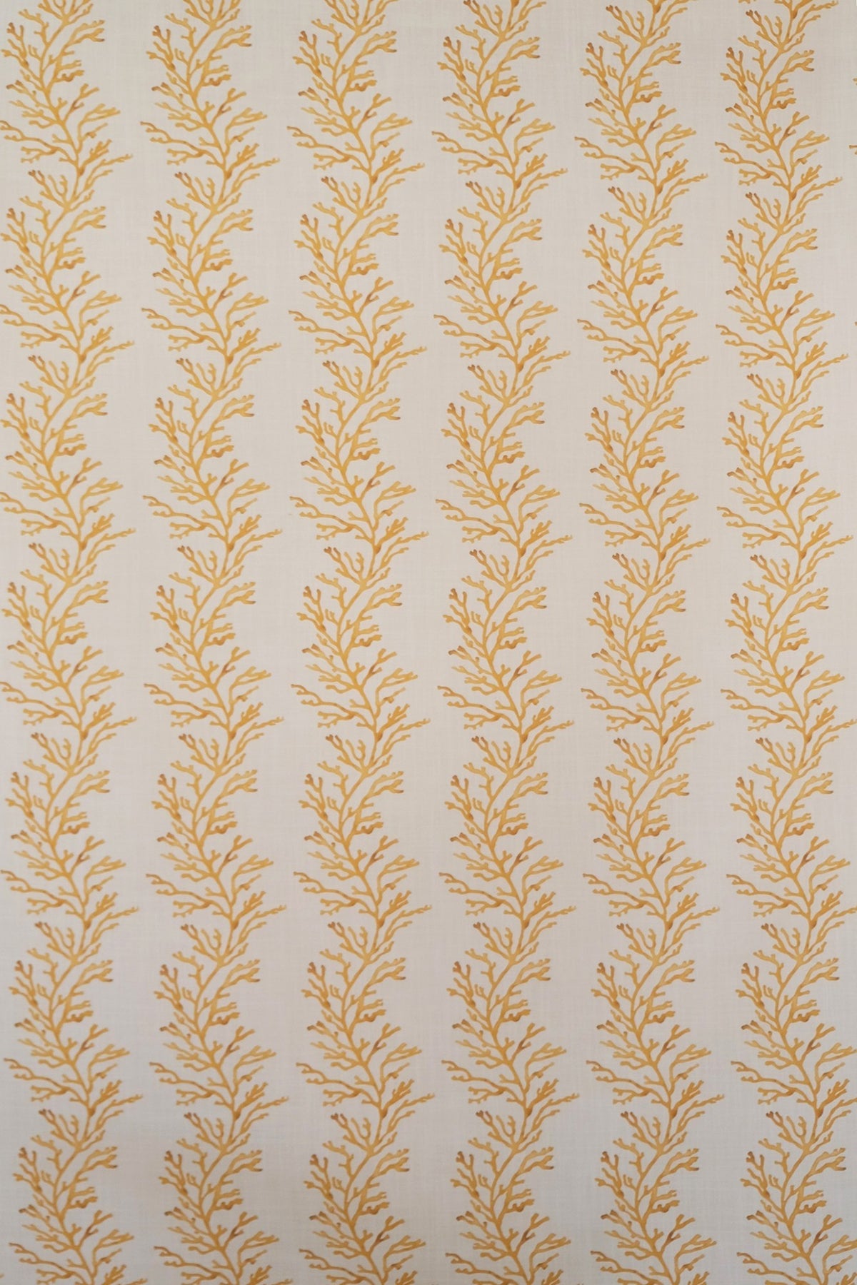 Corallo OUT Fabric by James Malone in Ochre (03)