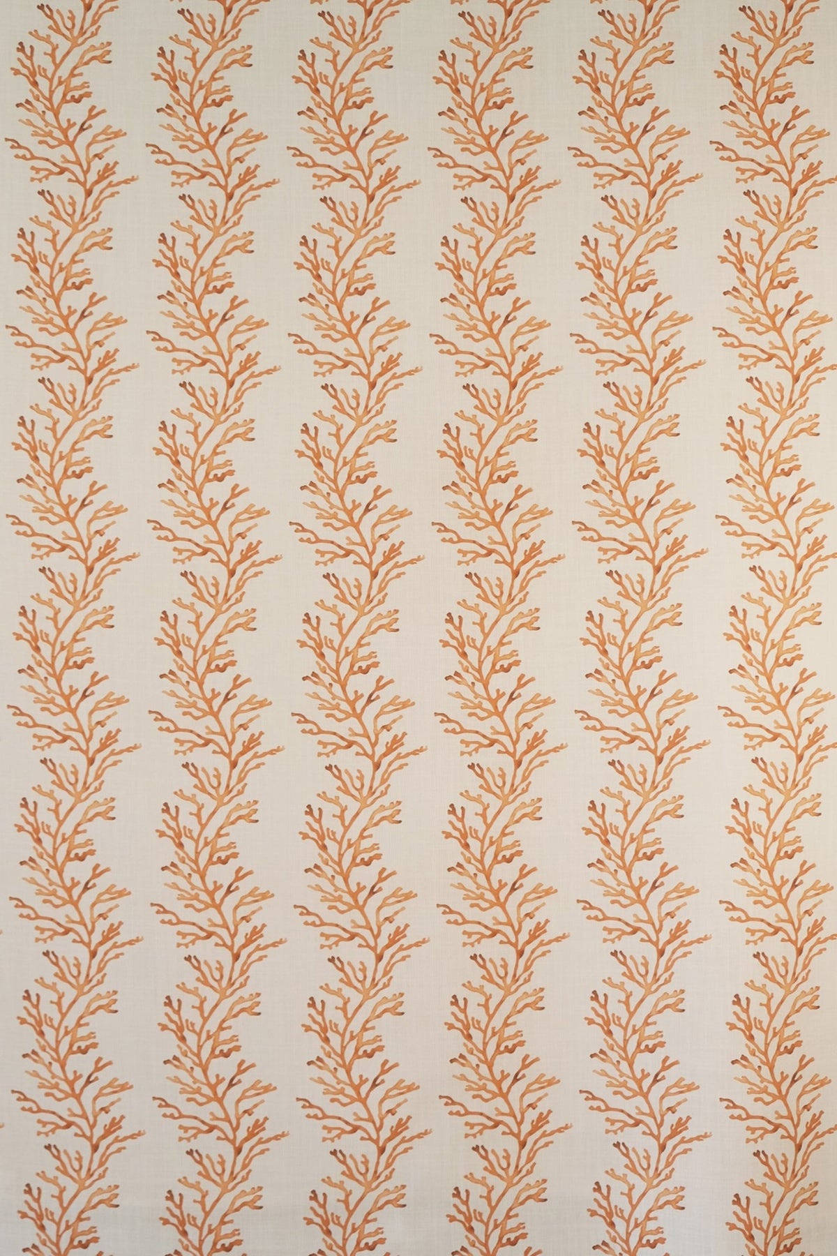 Corallo OUT Fabric by James Malone in Arancia (05)