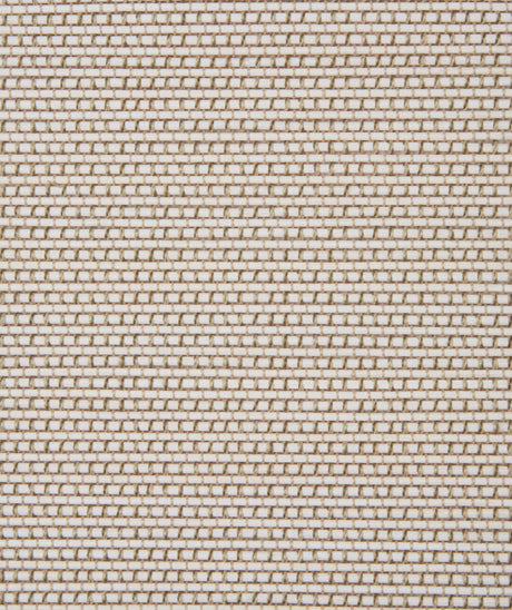 Coronado Margate natural woven shade swatch in Moonlight White, Pinnacle BD92