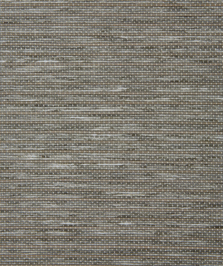 Coronado Ventura natural woven shade swatch in Storm Cloud, Pinnacle BP2501