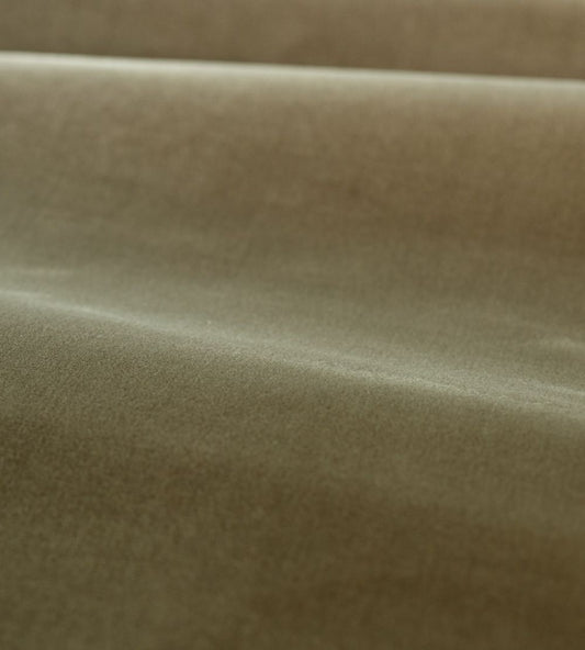 Cotton Velvet Performance Fabric by Zoffany Antique Linen