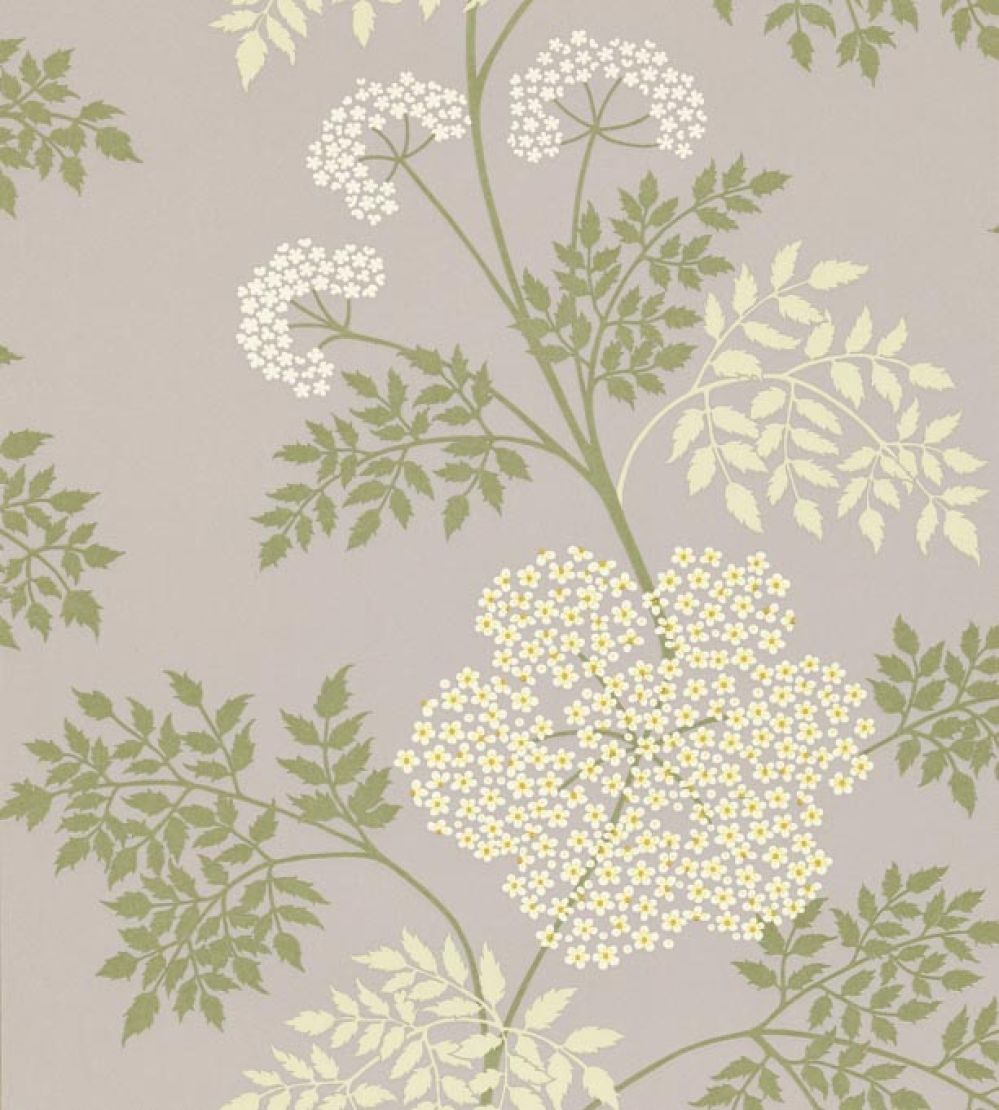 Cowparsley Wallpaper by Sanderson Amethyst