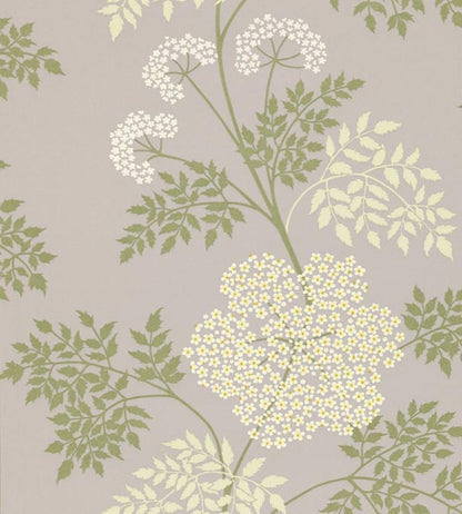 Cowparsley Wallpaper by Sanderson Amethyst