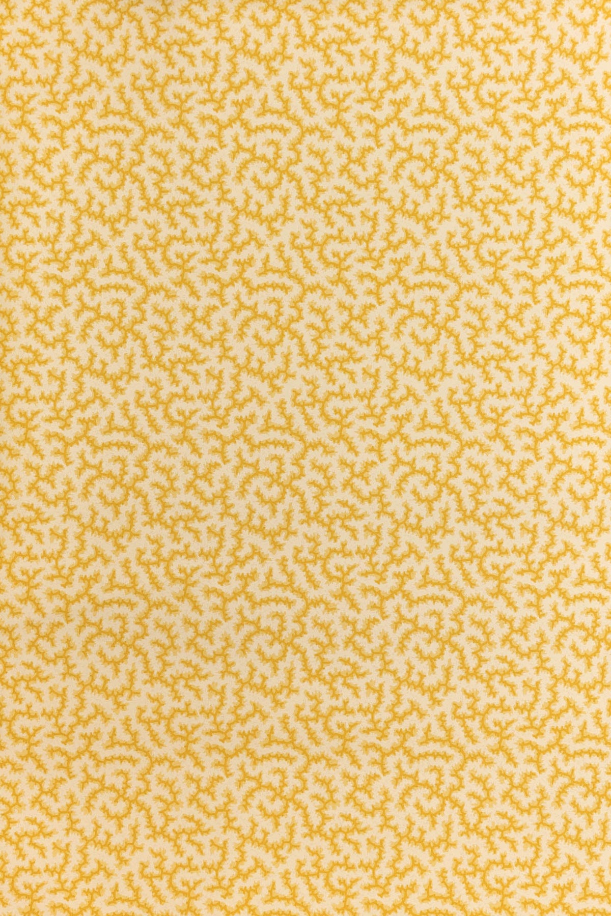 Crackle Wallpaper by Jean Monro in Grapefruit