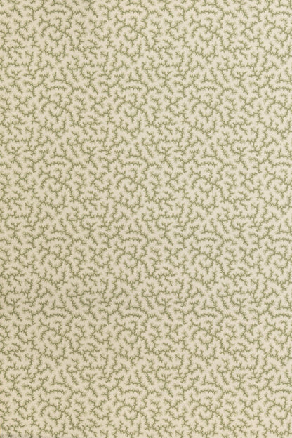 Crackle Wallpaper by Jean Monro in Lichen