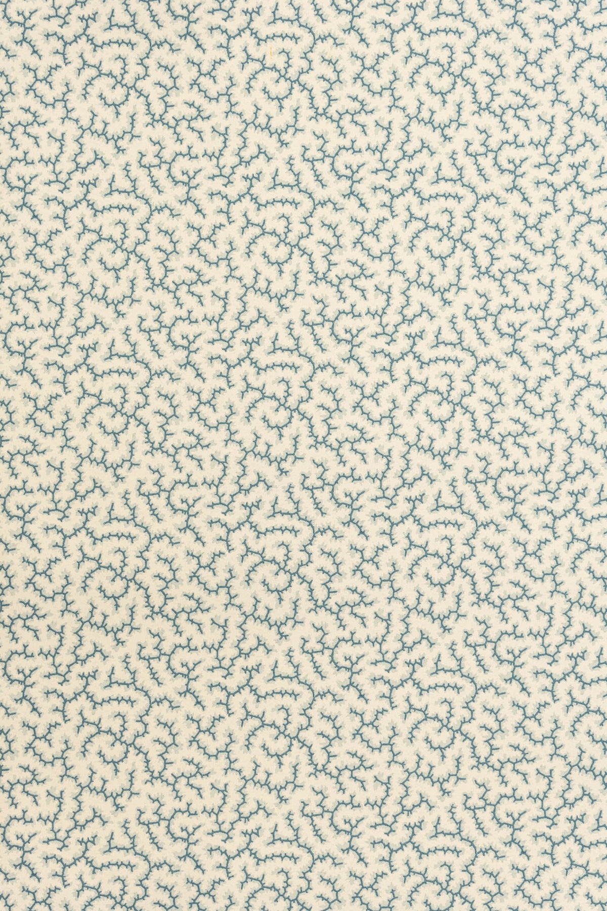 Crackle Wallpaper by Jean Monro in Whale