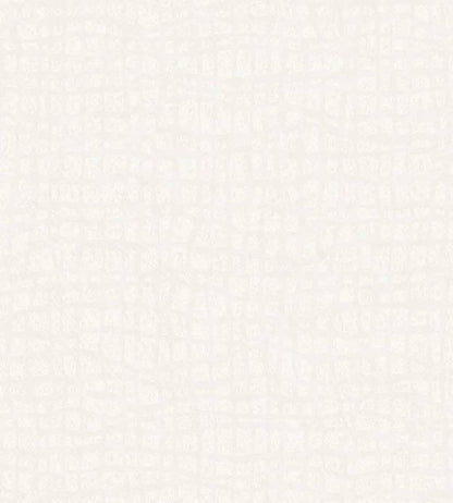 Crackled Clay Wallpaper by Eijffinger White/Cream