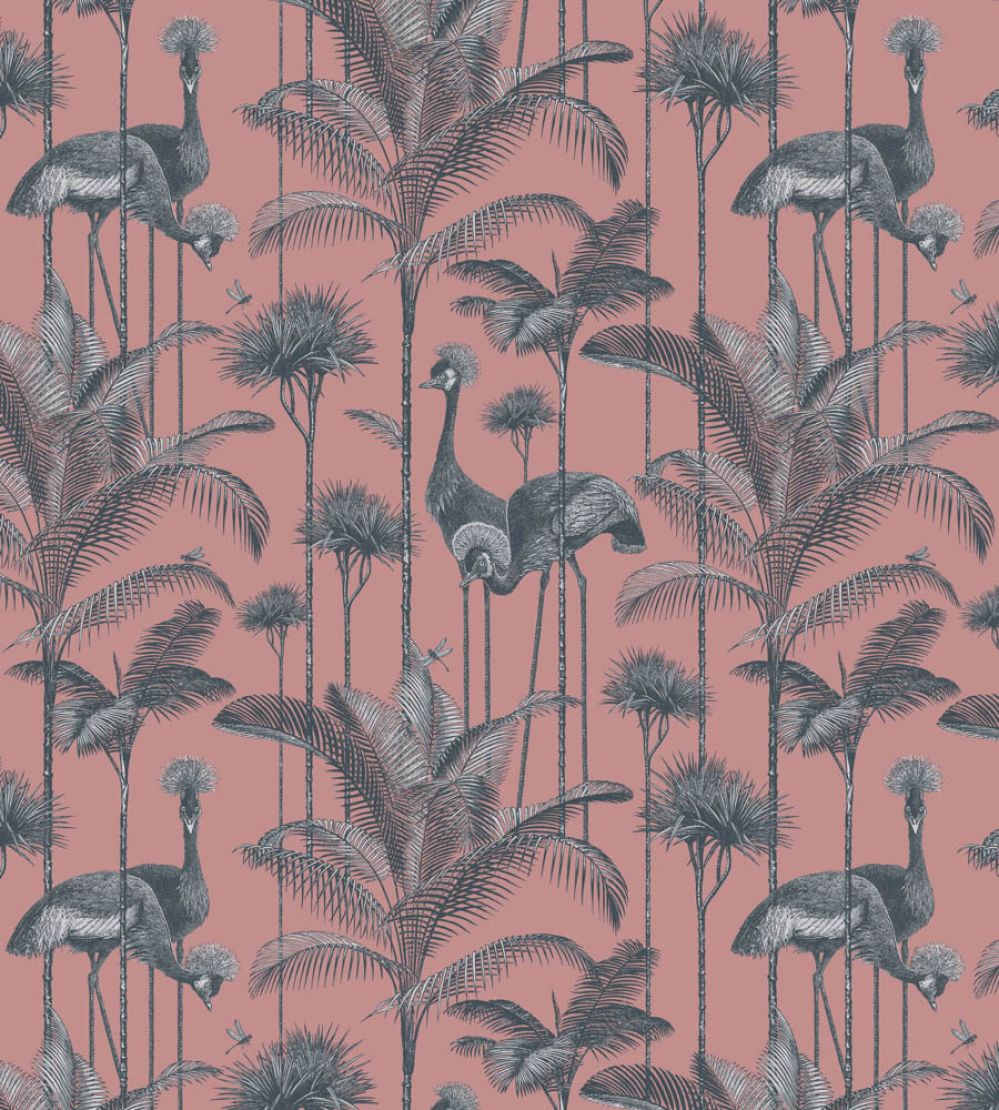 Crane Fonda Wallpaper by Divine Savages Coral