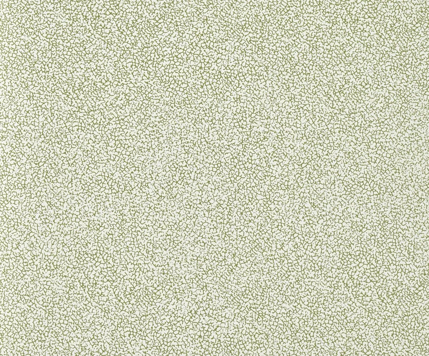 Craquelin Wallpaper by Pierre Frey in Jungle (FP071004)