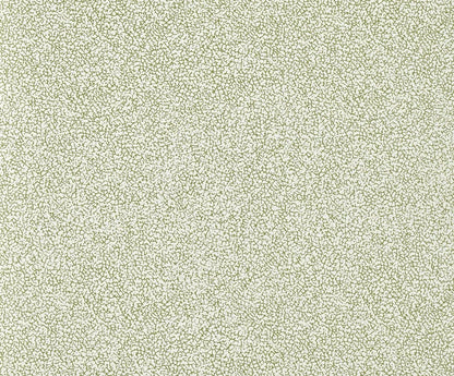 Craquelin Wallpaper by Pierre Frey in Jungle (FP071004)