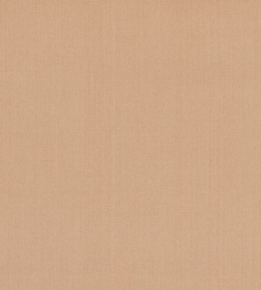 Cubby Fabric by GP & J Baker Desert