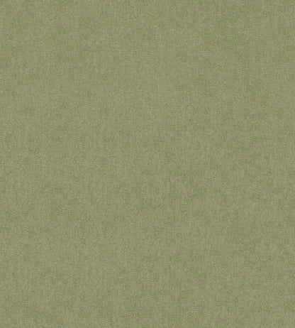 Cubby Wallpaper by GP & J Baker Grass
