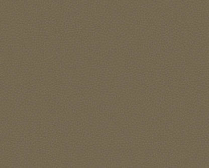 Cuero Chic contract wallcovering by Coordonné in No. 64788016, flat pattern view