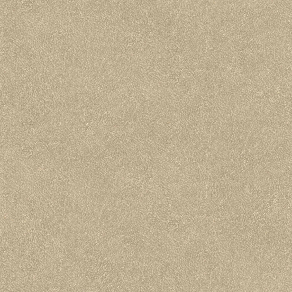 Cuero wallpaper by Coordonné in 21, flat pattern view