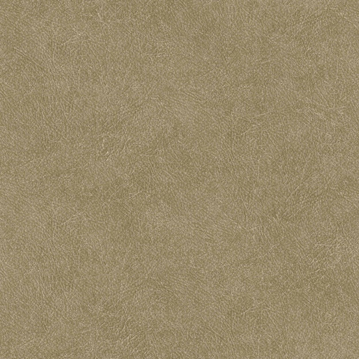 Cuero wallpaper by Coordonné in 22, flat pattern view