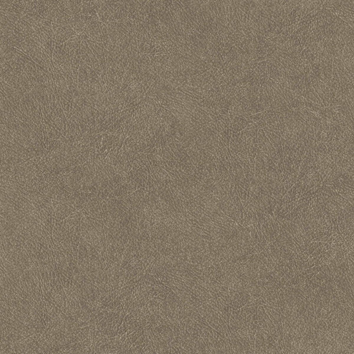Cuero wallpaper by Coordonné in 24, flat pattern view