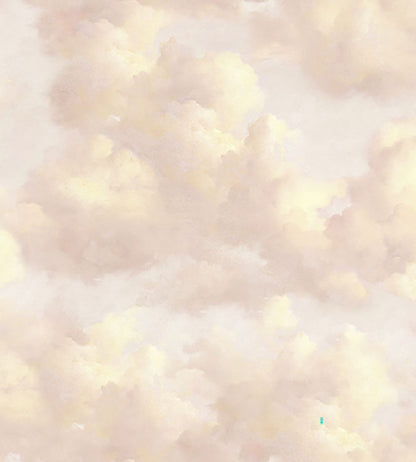 Cumulus Mural by Eijffinger Pink