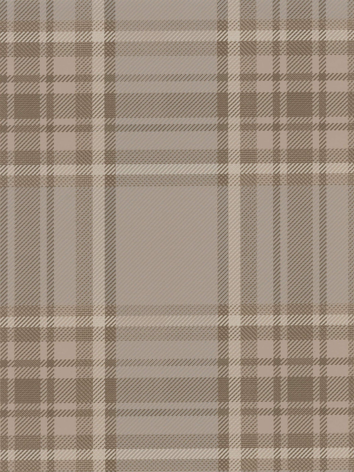 Queen's Hall Wallpaper by Holland & Sherry in Cabriolet