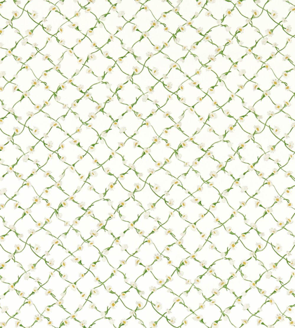 Daisy Trellis Fabric by Harlequin Emerald/Pearl