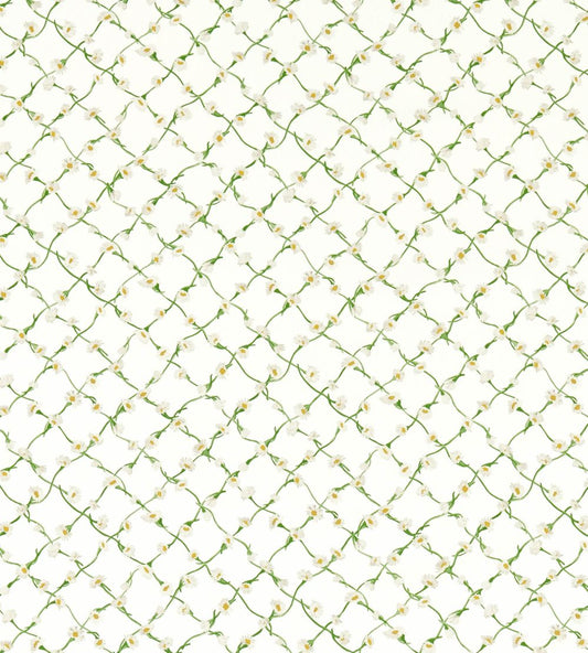 Daisy Trellis Fabric by Harlequin Emerald/Pearl