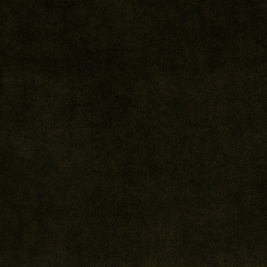 Cashmere Velvet Fabric by de Le Cuona in Onyx