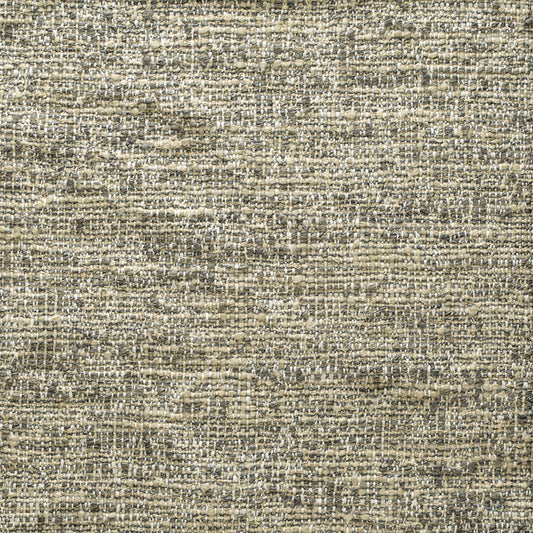 Flint Fabric by de Le Cuona in Fog