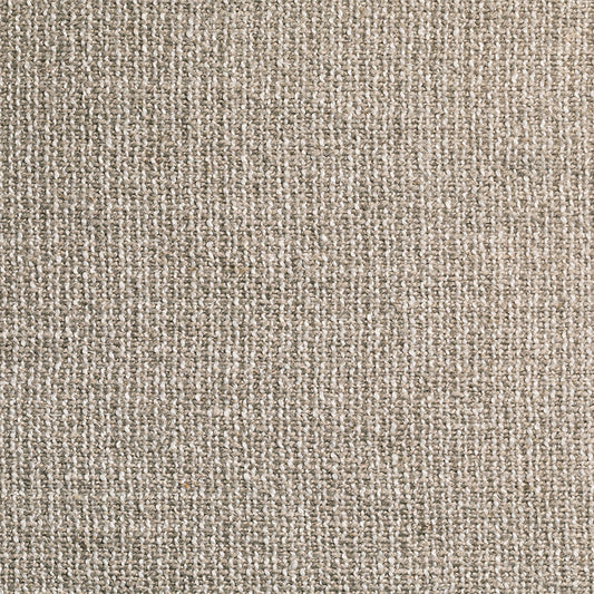 Tumbleweed Fabric by de Le Cuona in Ash