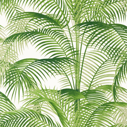 Delray Wallpaper by Thibaut in Green (T13938)